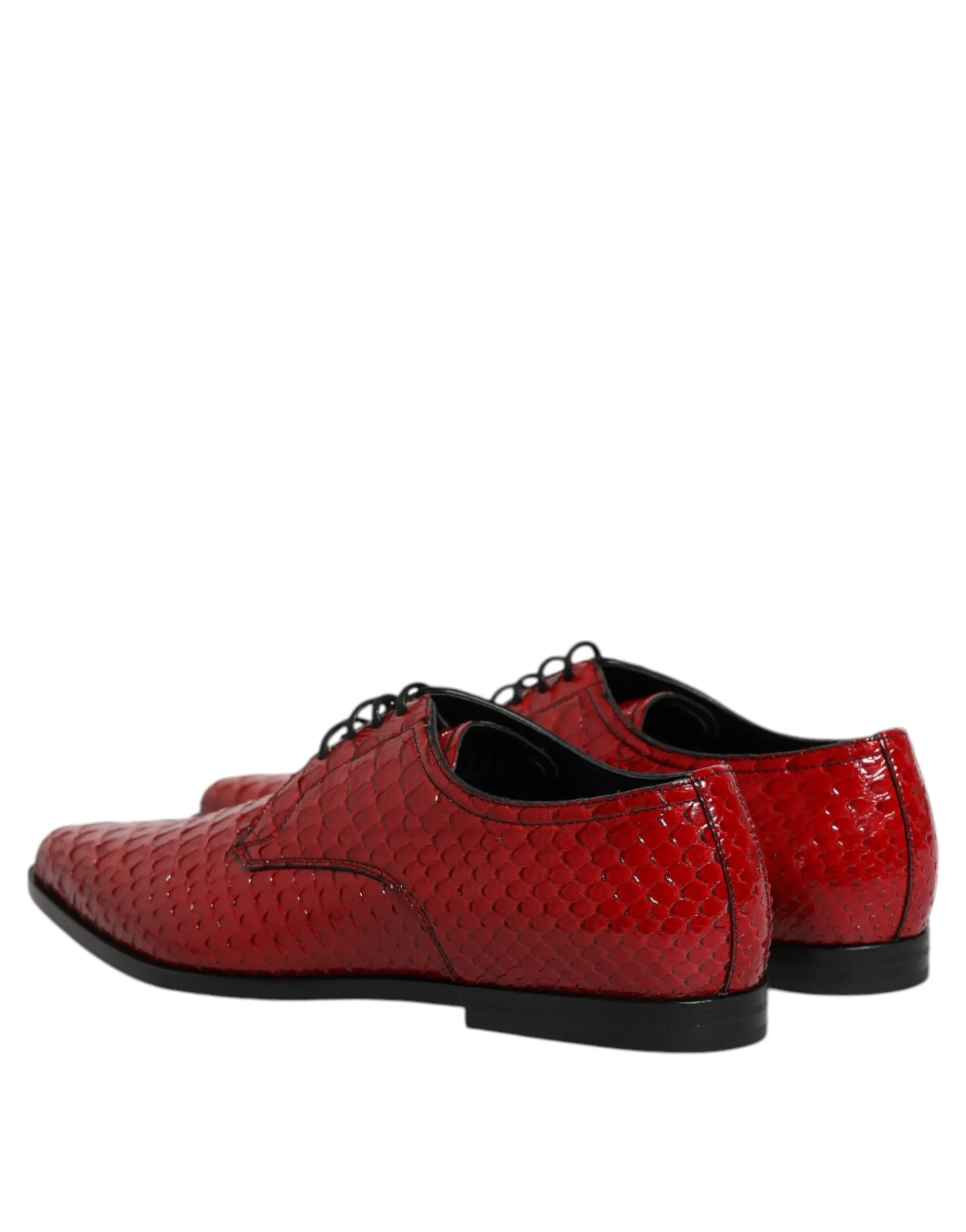 Dolce Seamless delivery Expansive variety Shoes Dress Gabbana Up & Leather Red Derby Exotic Lace