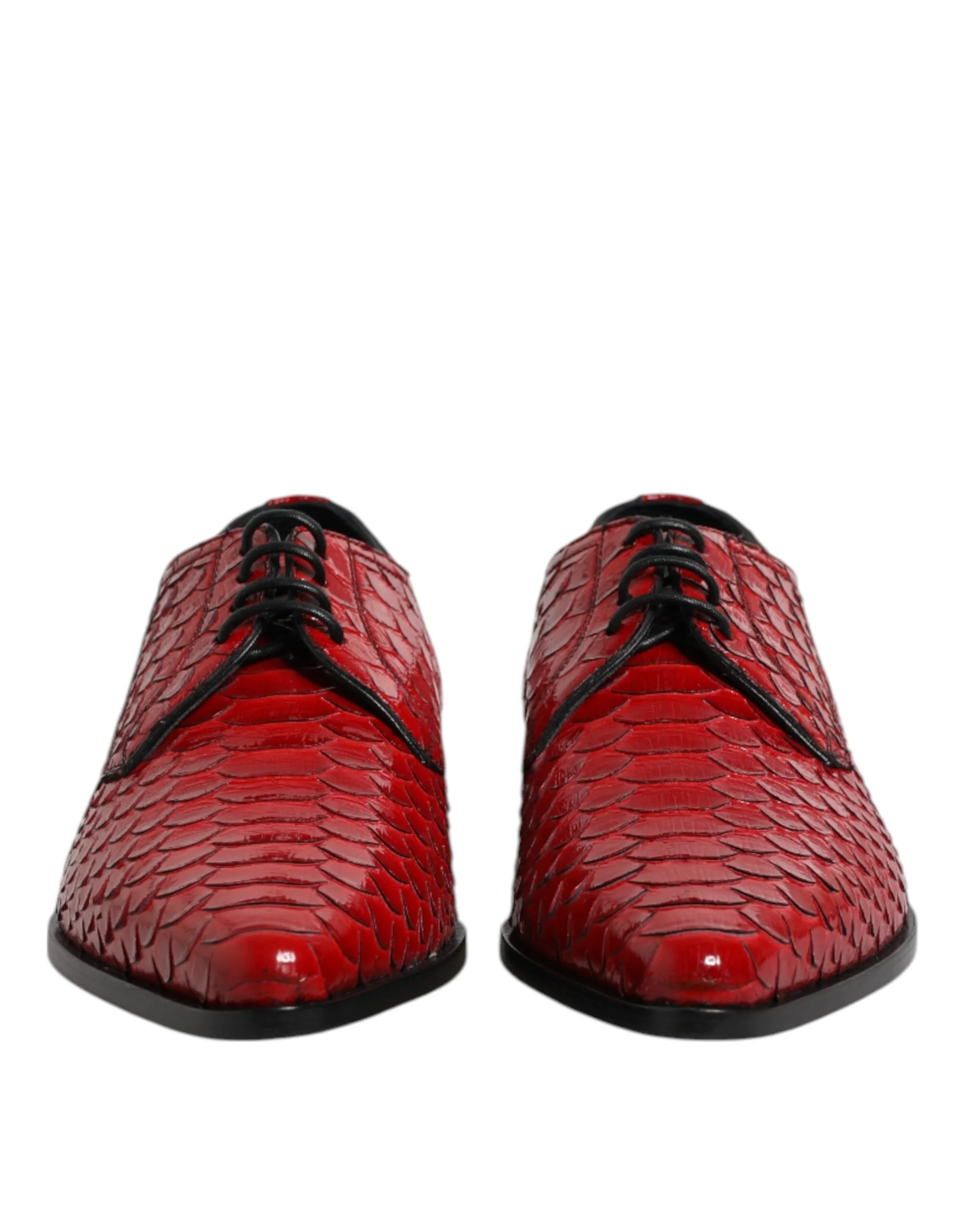 Dolce Seamless delivery Expansive variety Shoes Dress Gabbana Up & Leather Red Derby Exotic Lace