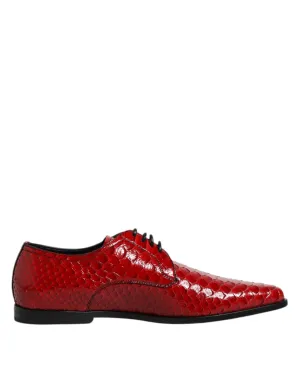 Dolce Seamless delivery Expansive variety Shoes Dress Gabbana Up & Leather Red Derby Exotic Lace