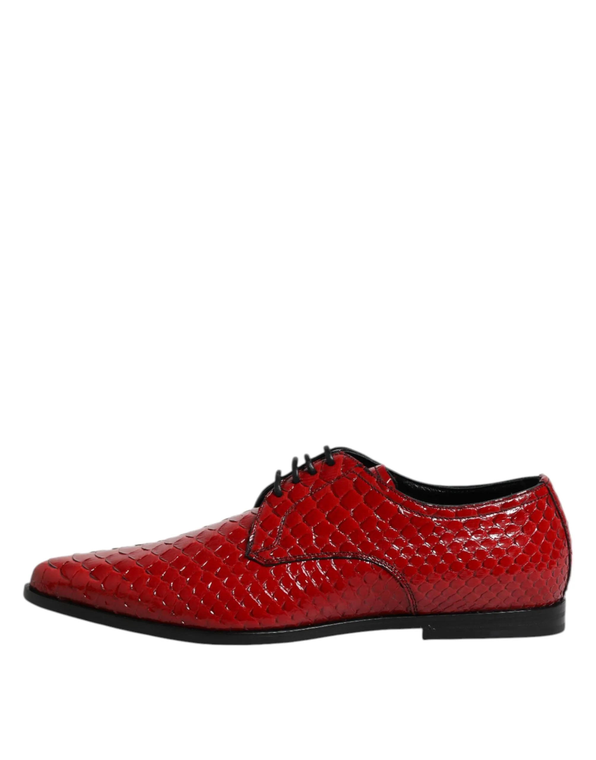 Dolce Seamless delivery Expansive variety Shoes Dress Gabbana Up & Leather Red Derby Exotic Lace
