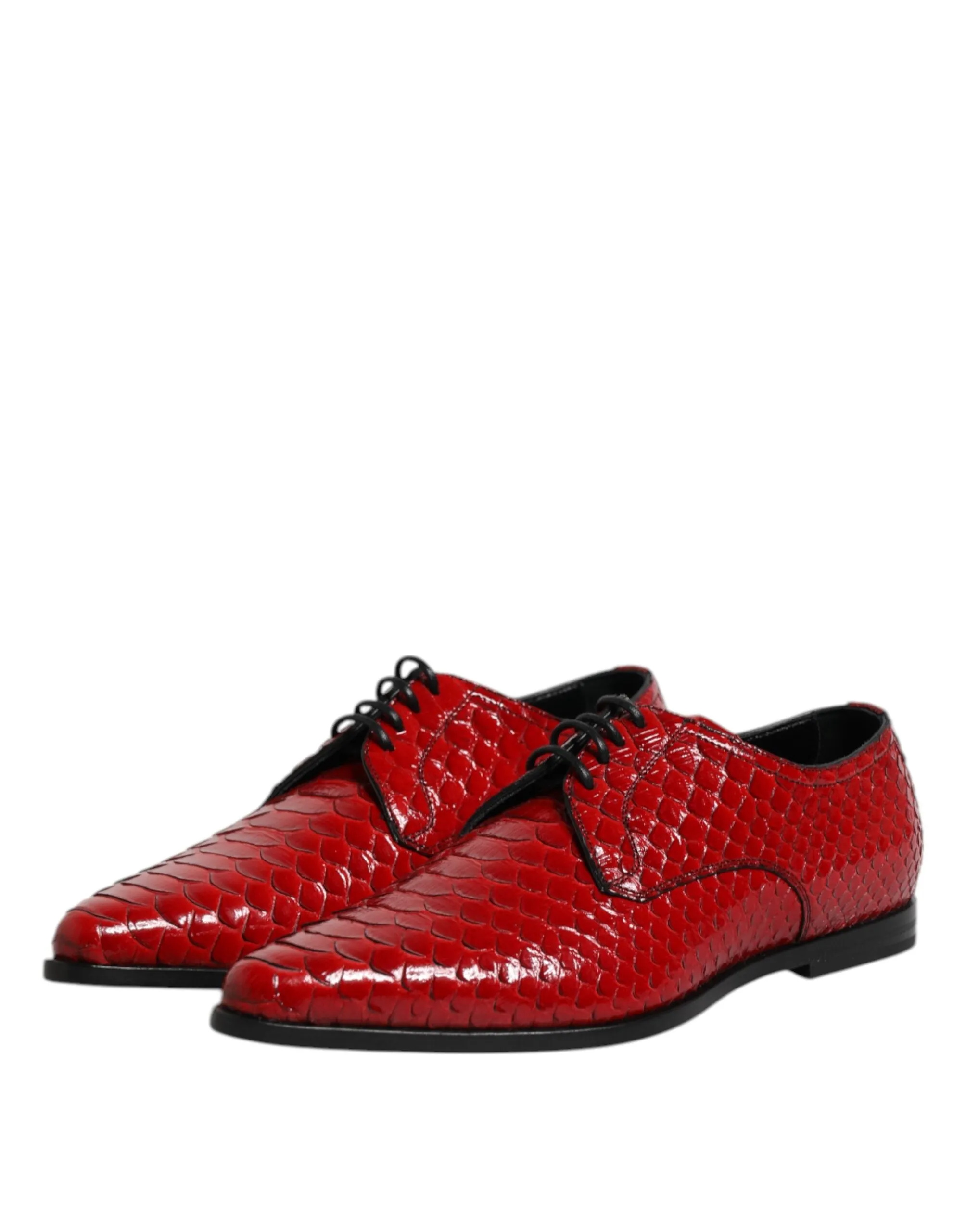 Dolce Seamless delivery Expansive variety Shoes Dress Gabbana Up & Leather Red Derby Exotic Lace