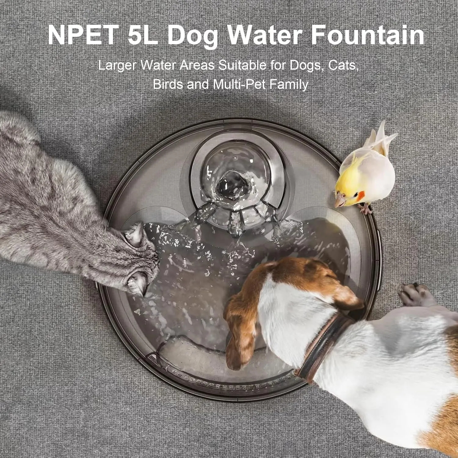 NPET Large Dog Water Fountain,169oz/5L Deep Drinking Area Automatic Pet Fountains Filtration Water Dispenser with Quiet Pump for Cats Dogs